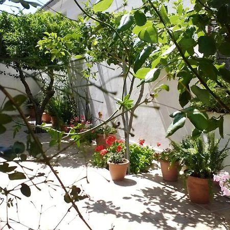 Evia Studios Loutra Edipsou  Ngoại thất bức ảnh